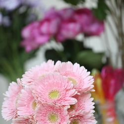 サンリオピューロランド Produced by 小さな結婚式 の写真4枚目