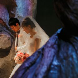 サンリオピューロランド Produced by 小さな結婚式 の写真33枚目