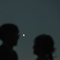 TOASTの写真12枚目