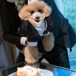 アネーリ軽井沢の写真28枚目