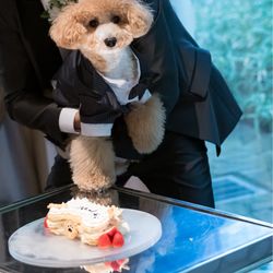 アネーリ軽井沢の写真34枚目