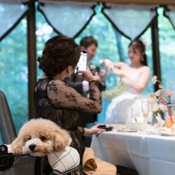 アネーリ軽井沢の写真9枚目