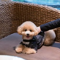 アネーリ軽井沢の写真35枚目