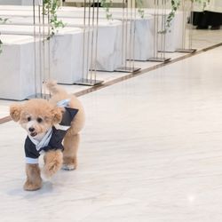 アネーリ軽井沢の写真12枚目