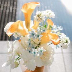 SOLA KOBEの写真15枚目