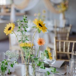 SOLA KOBEの写真30枚目