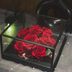 Mia Viaの写真23枚目