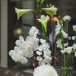 Mia Viaの写真29枚目