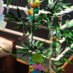 Mia Viaの写真36枚目