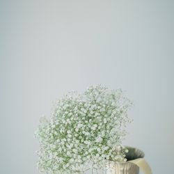 Mia Viaの写真33枚目