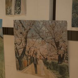 TOASTの写真7枚目