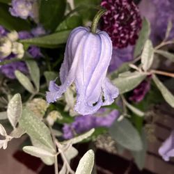 キンプトン新宿東京の写真16枚目