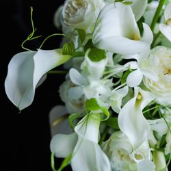 キンプトン新宿東京の写真2枚目