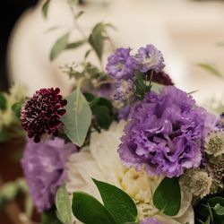 キンプトン新宿東京の写真15枚目