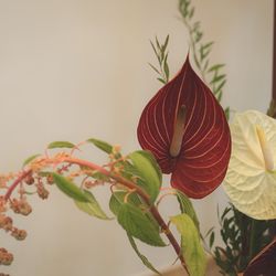 ザ ナンザンハウスの写真16枚目