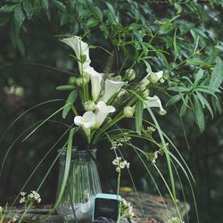 ザ ナンザンハウスの写真17枚目