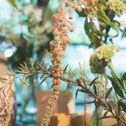 ザ ナンザンハウスの写真6枚目