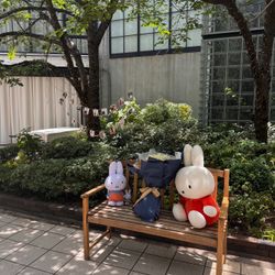 パラッツォ ドゥカーレ 麻布の写真6枚目