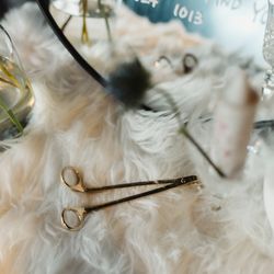 ユニオンハーバーの写真14枚目