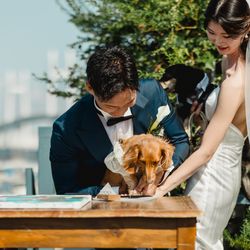 ユニオンハーバーの写真6枚目