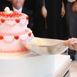 ララシャンス岡崎迎賓館の写真12枚目