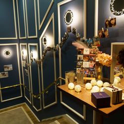 宮の森フランセス教会の写真31枚目