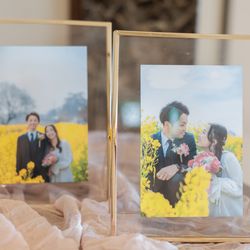 ルーキスの写真1枚目