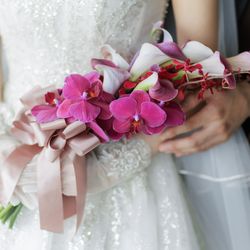 ルーキスの写真4枚目