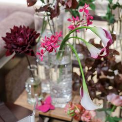 ルーキスの写真16枚目