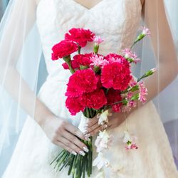 ザ・コンダーハウスの写真23枚目