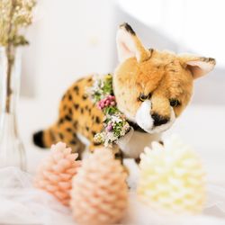 クレール ベイサイドの写真6枚目