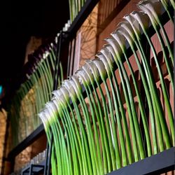 グランド ハイアット 東京の写真20枚目