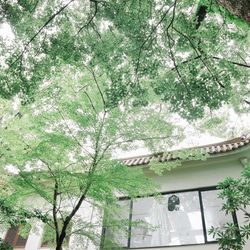 ザ ナンザンハウスの写真24枚目