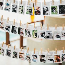 マンダリンポルトの写真2枚目