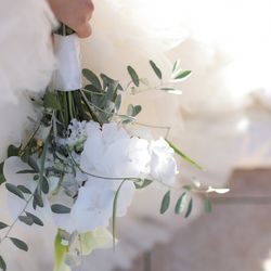 マンダリンポルトの写真25枚目