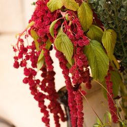 アーセンティア迎賓館 浜松の写真10枚目