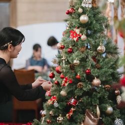 綿業会館の写真14枚目