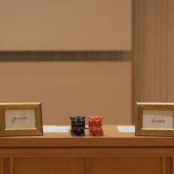 TOASTの写真19枚目