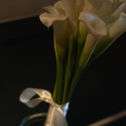 TOASTの写真28枚目