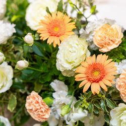 ホテルオークラ東京ベイの写真11枚目