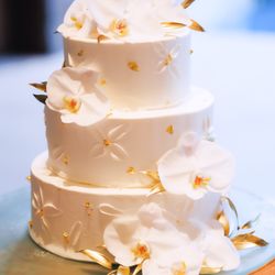 ザ・ミーツ マリーナテラスの写真24枚目