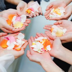 ザ・ミーツ マリーナテラスの写真20枚目