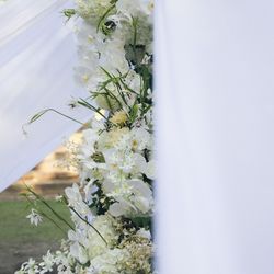 坐摩神社の写真3枚目