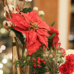 星野リゾート 軽井沢ホテルブレストンコートの写真30枚目