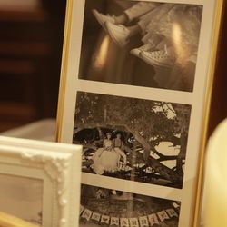 キャメロットヒルズの写真30枚目