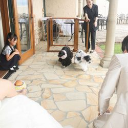 海辺のガーデンハウス リーベリアの写真34枚目