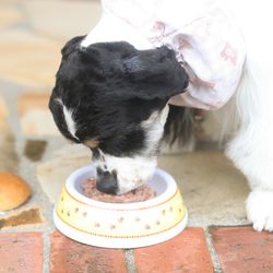 海辺のガーデンハウス リーベリアの写真23枚目