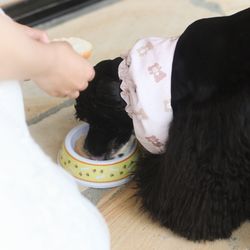 海辺のガーデンハウス リーベリアの写真20枚目