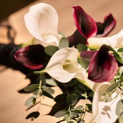 クアンティックの写真4枚目