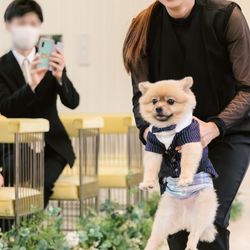 クアンティックの写真8枚目